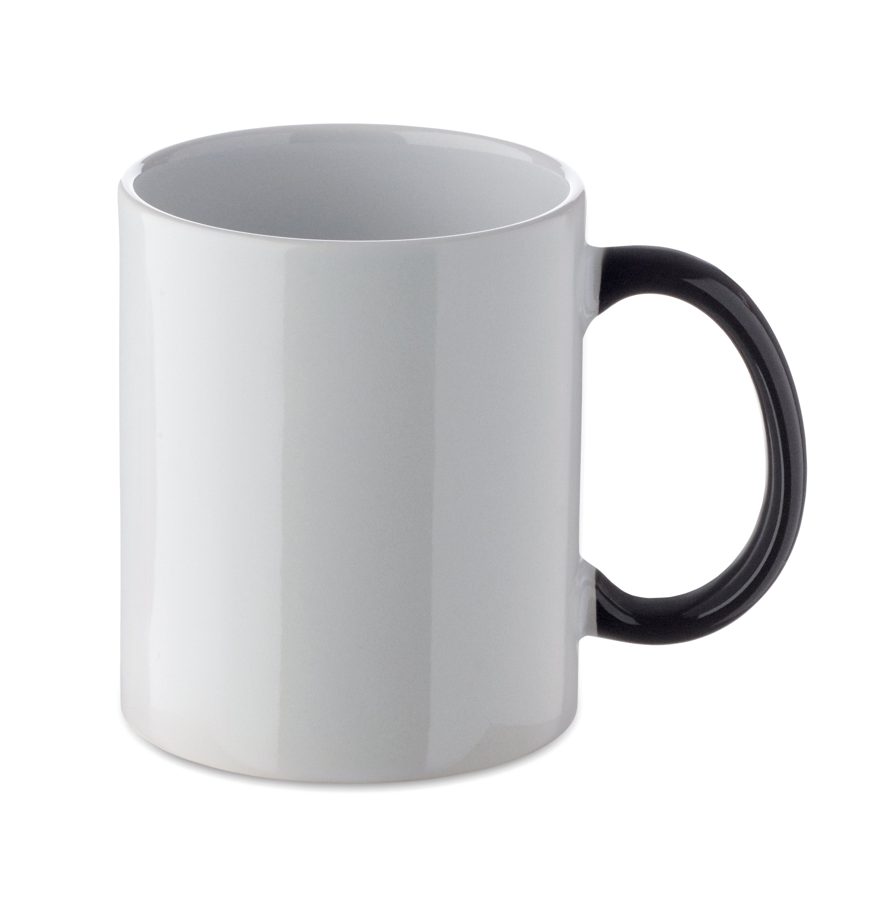 FESTIMUG