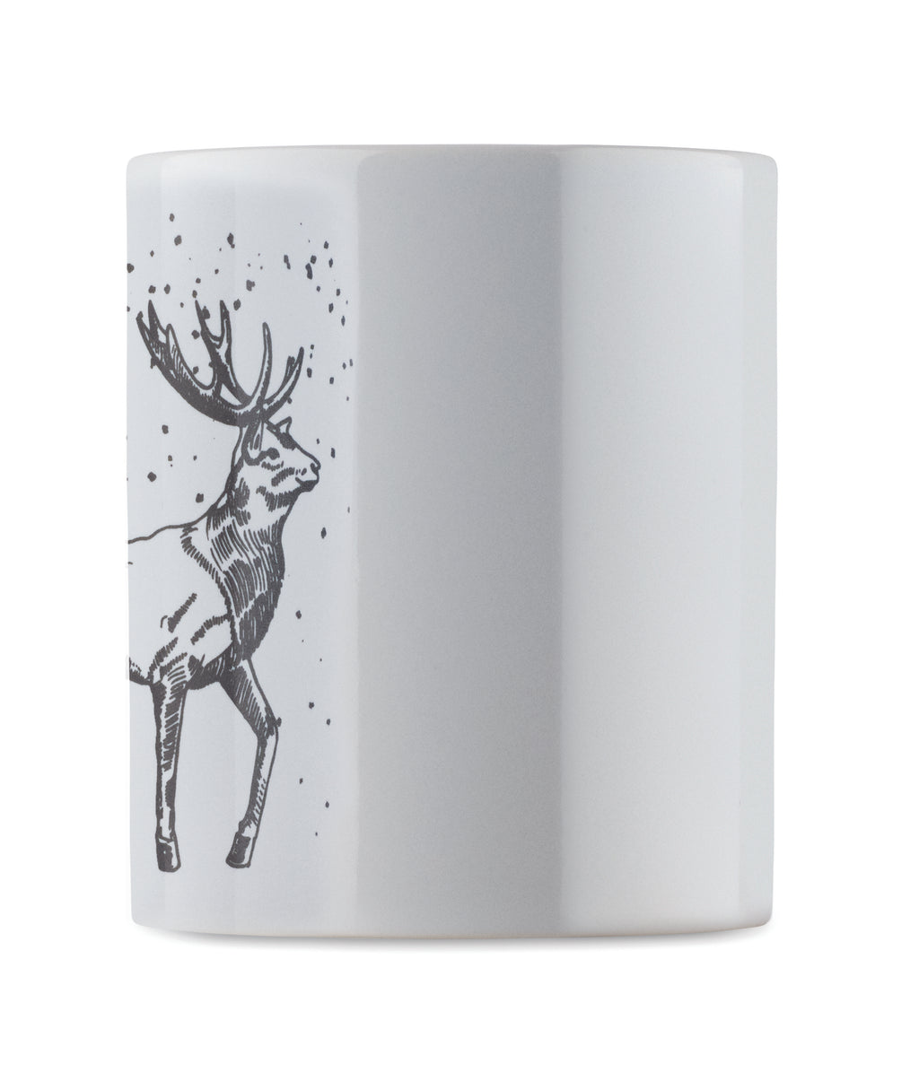 FESTIMUG