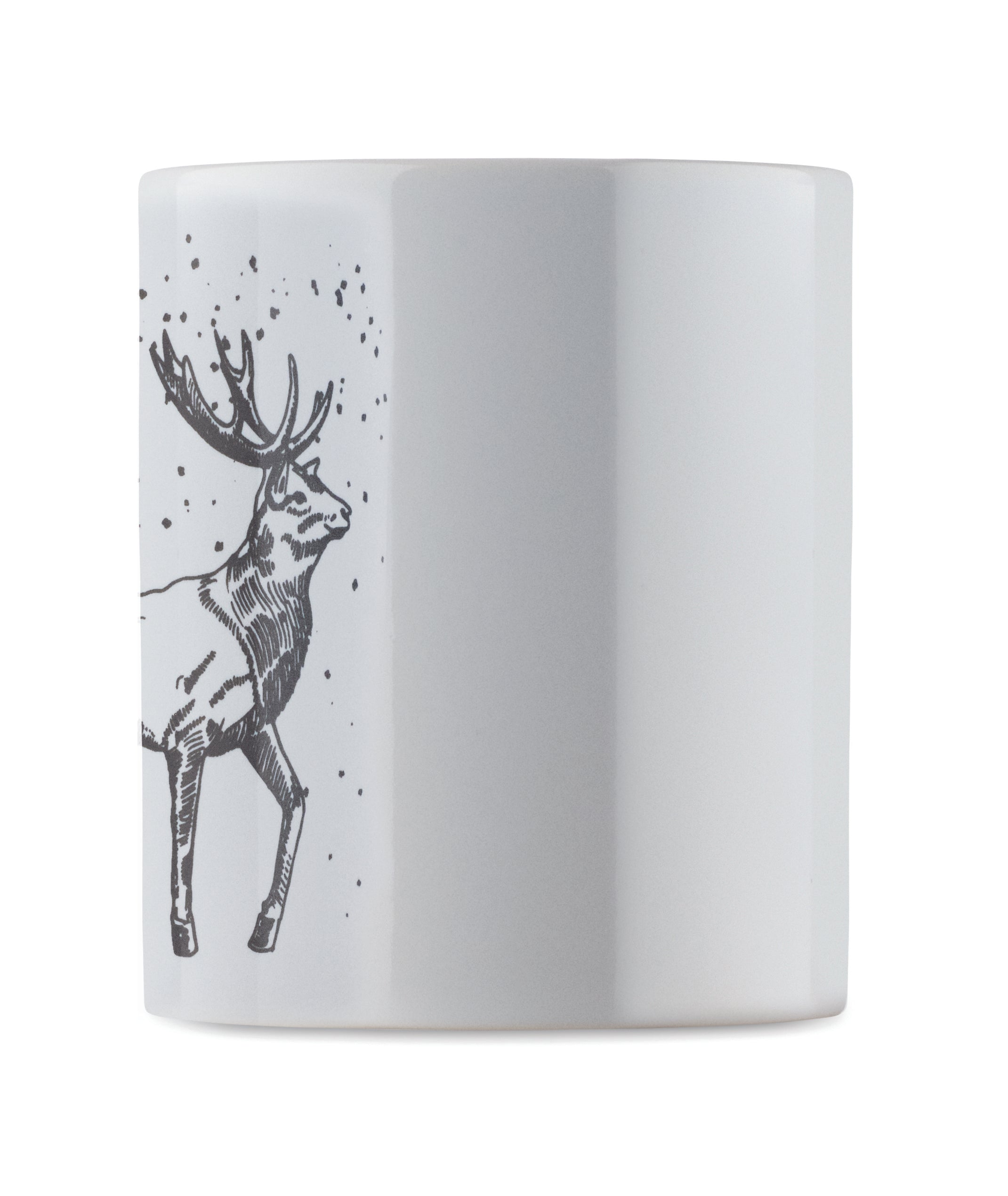 FESTIMUG