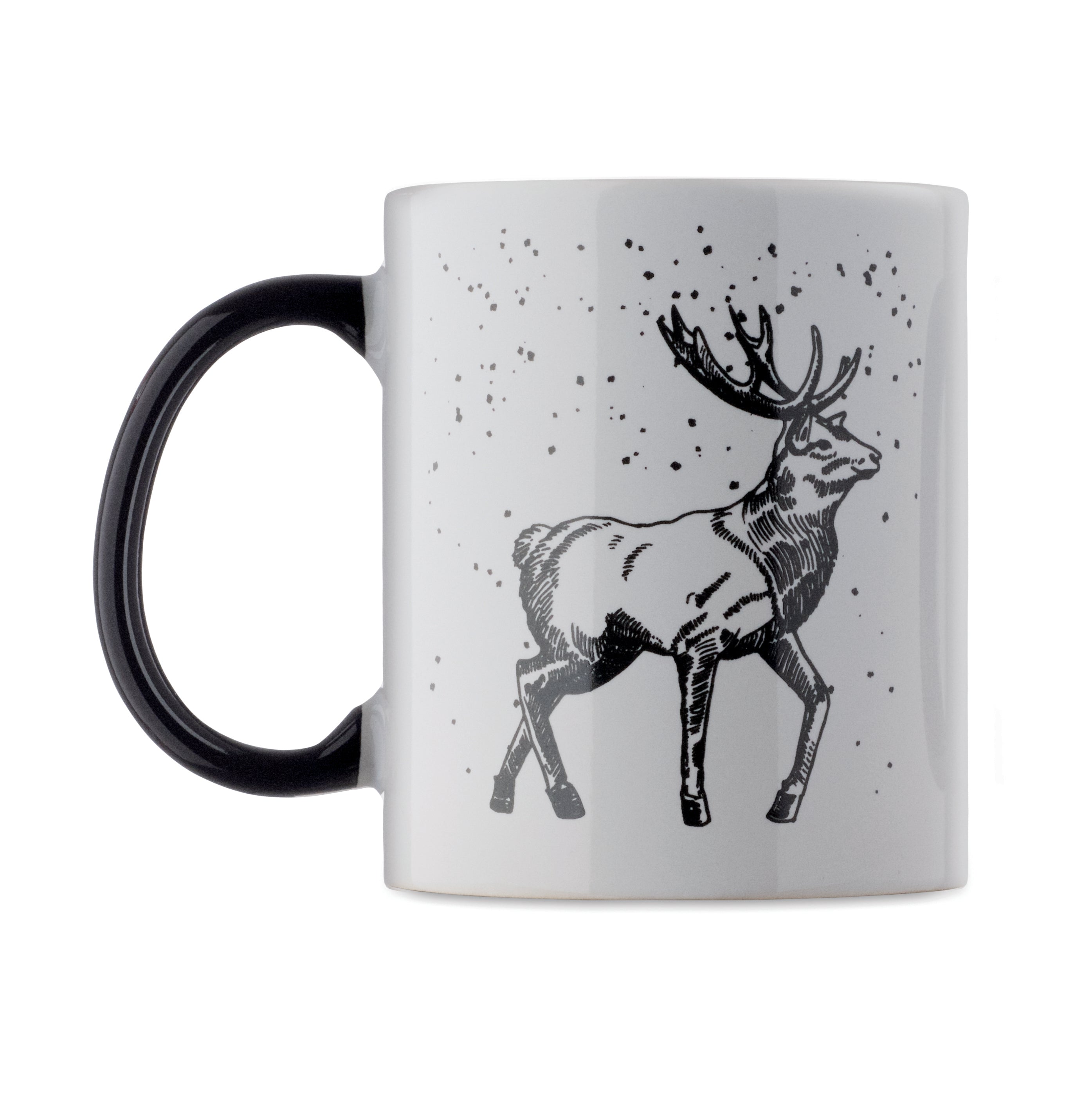 FESTIMUG