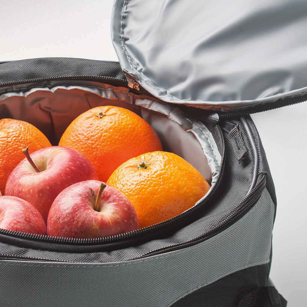 DONAU Barbecue Cooler Bag with Metal Grill
