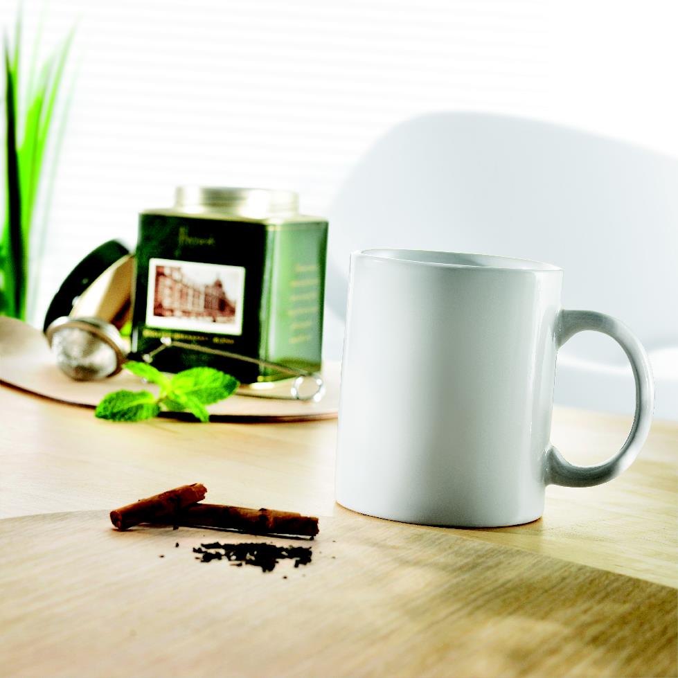 Dublin Classic Ceramic Mug 300ml