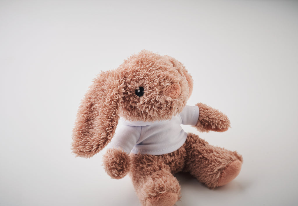Bunny Plush Hoodie Branded Soft Toy