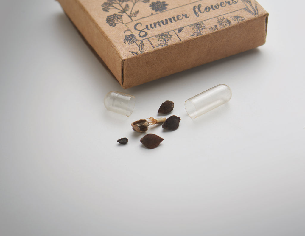 FLOMIX Pressed Peat Disc with Mixed Flower Seeds