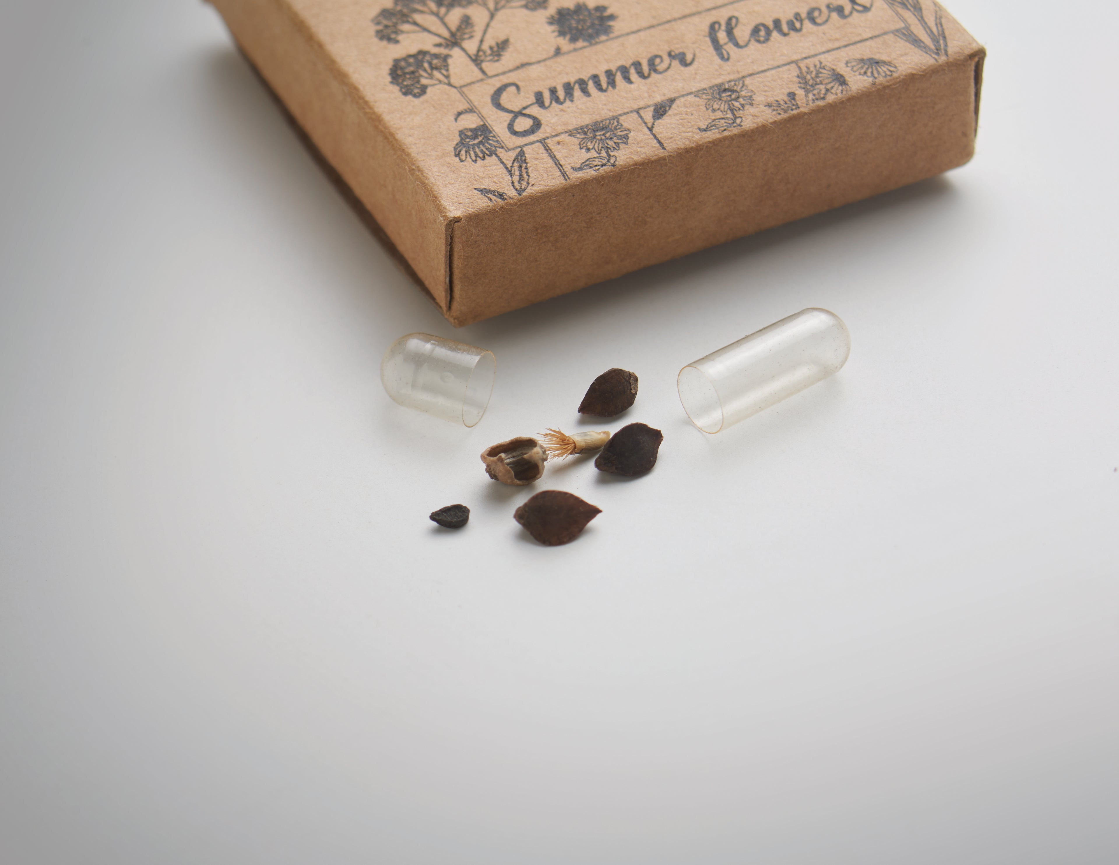 FLOMIX Pressed Peat Disc with Mixed Flower Seeds