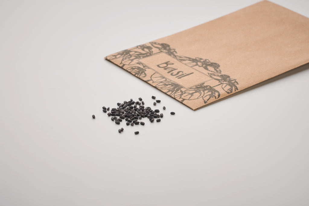 Basilop Basil Seeds in Craft Envelope