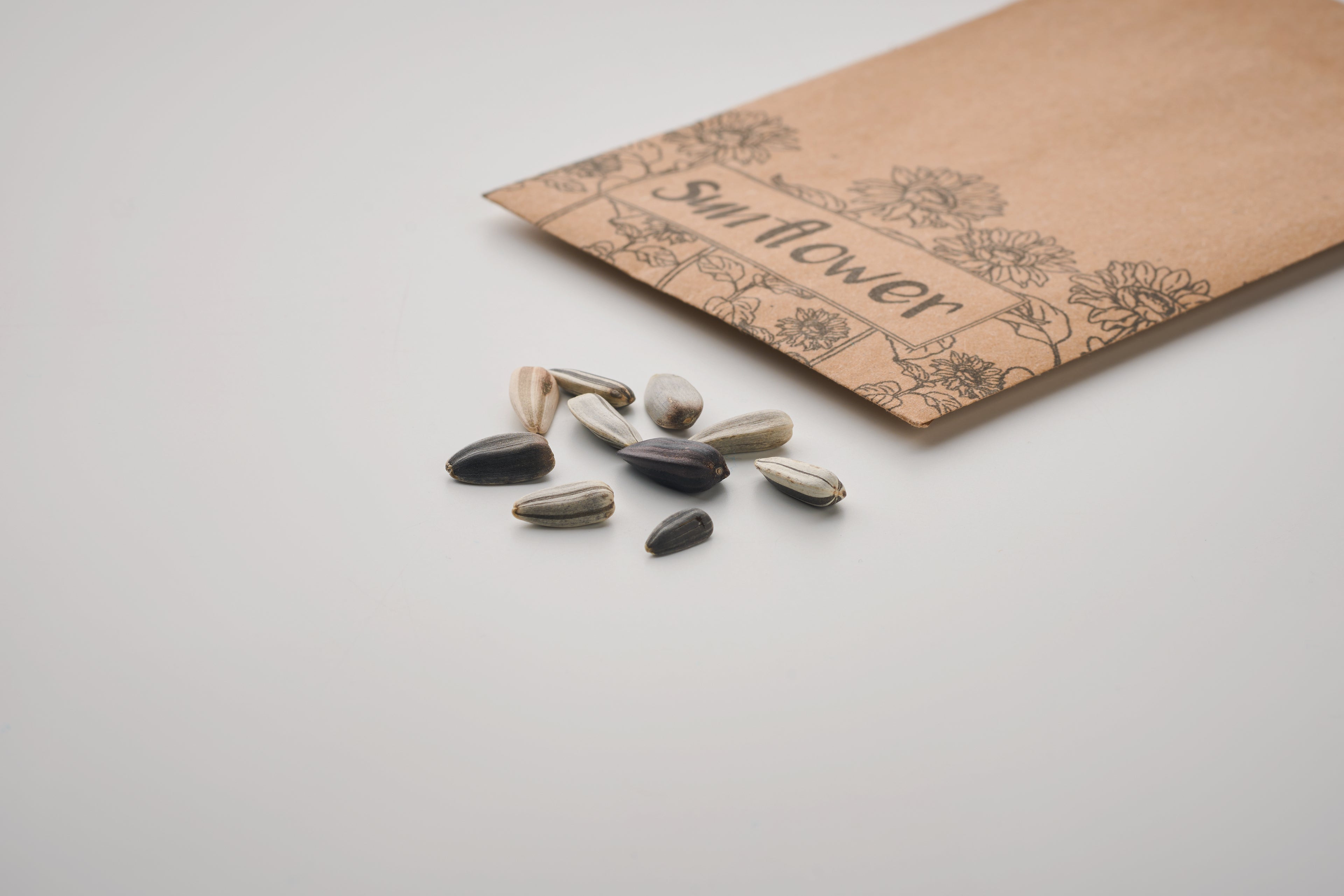 Girasol Sunflower Seeds in Branded Craft Envelope