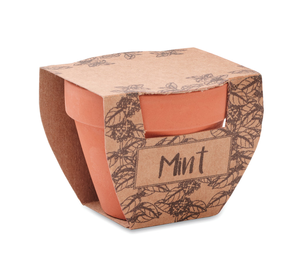 Mint Pot Terracotta Planter with Seeds