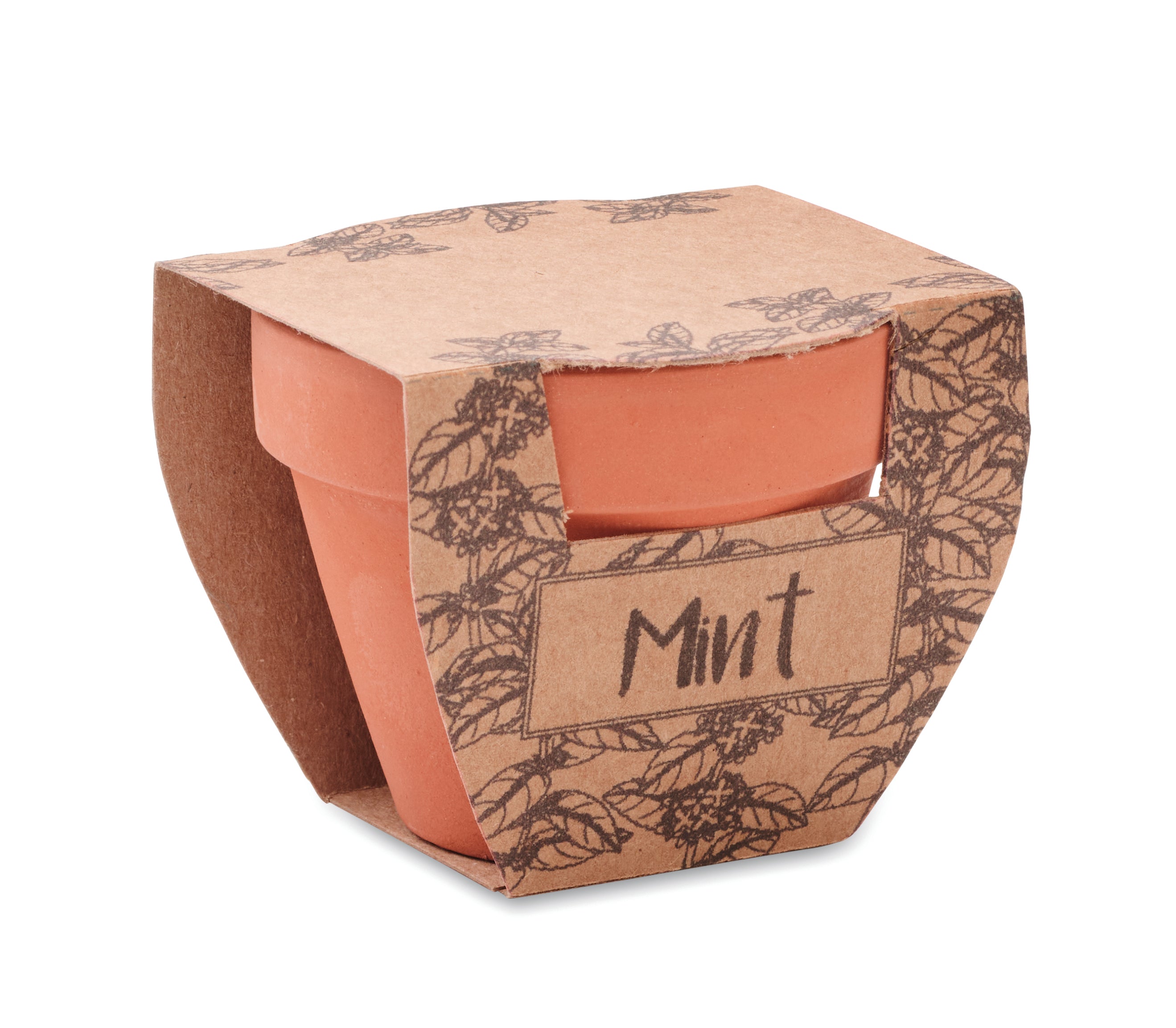 Mint Pot Terracotta Planter with Seeds