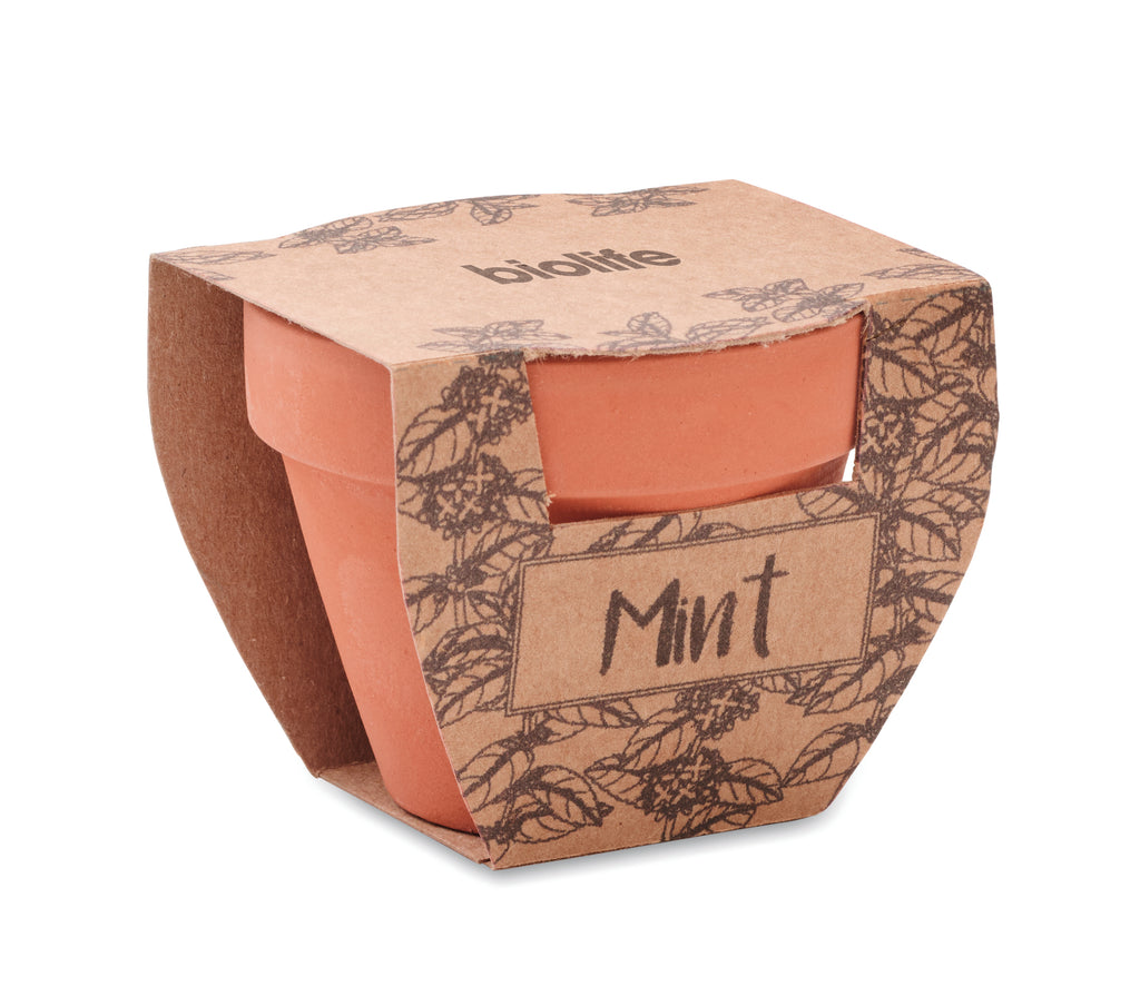 Mint Pot Terracotta Planter with Seeds