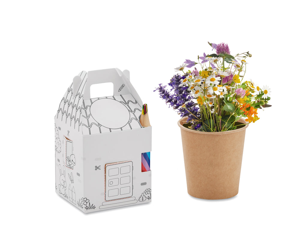 FULLHOUSE House-Shaped Seed Growing Set for Kids