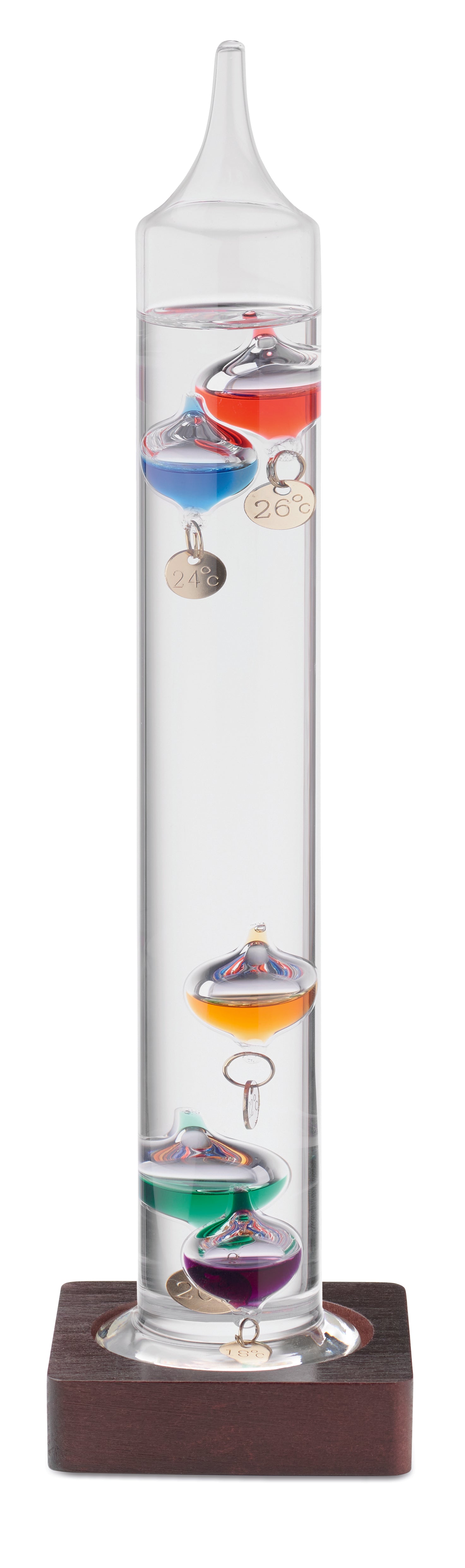 GALI Galileo Thermometer Glass 28cm with Wooden Base