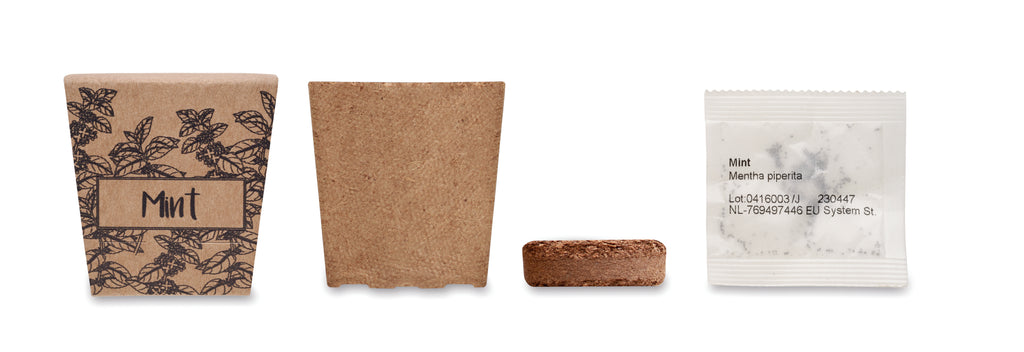 Mint Kit Biodegradable Growing Pot with Seeds