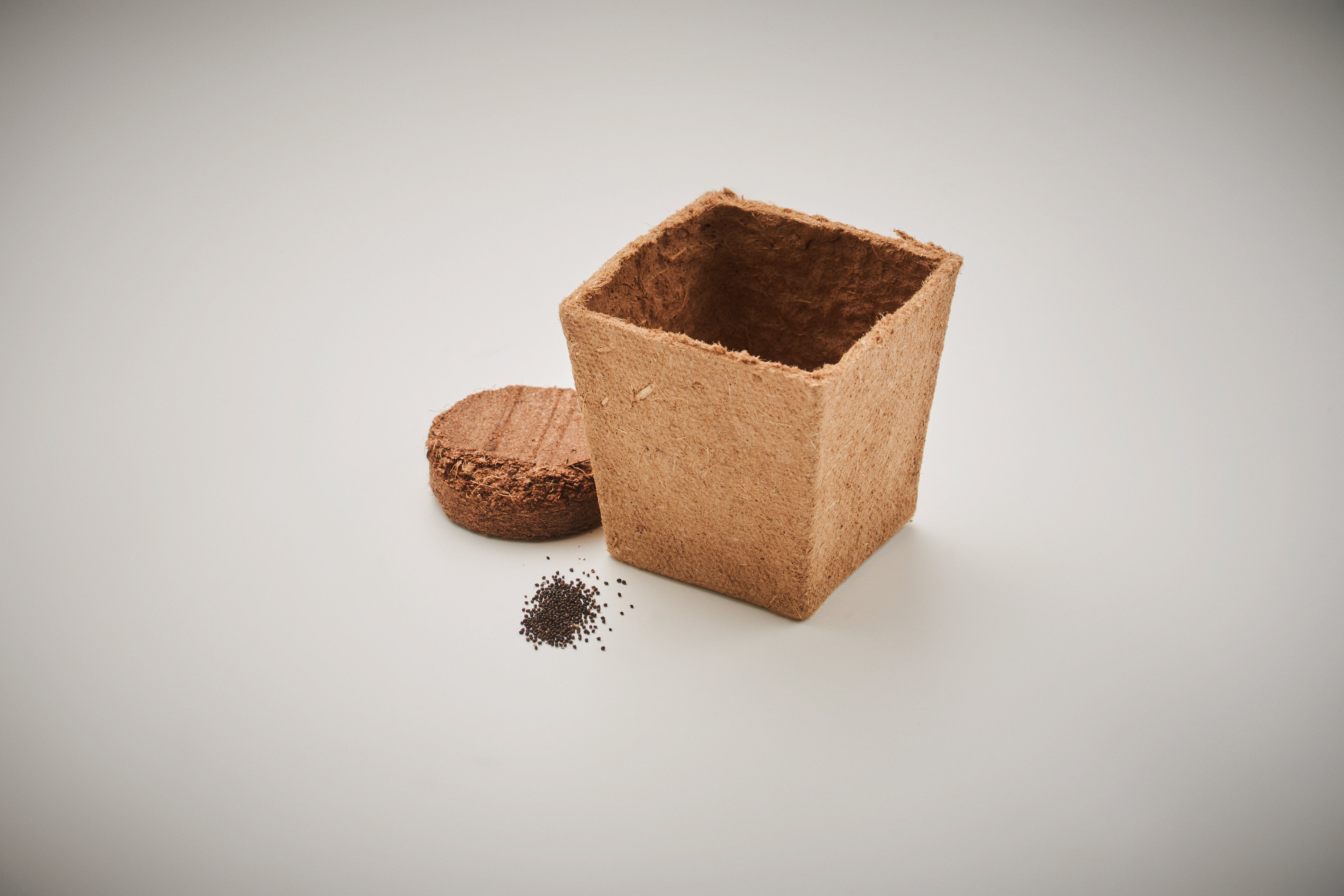 Mint Kit Biodegradable Growing Pot with Seeds