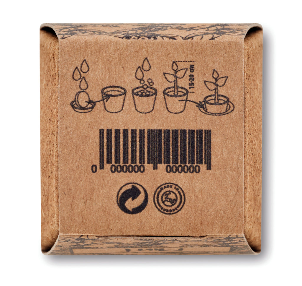 Mint Kit Biodegradable Growing Pot with Seeds