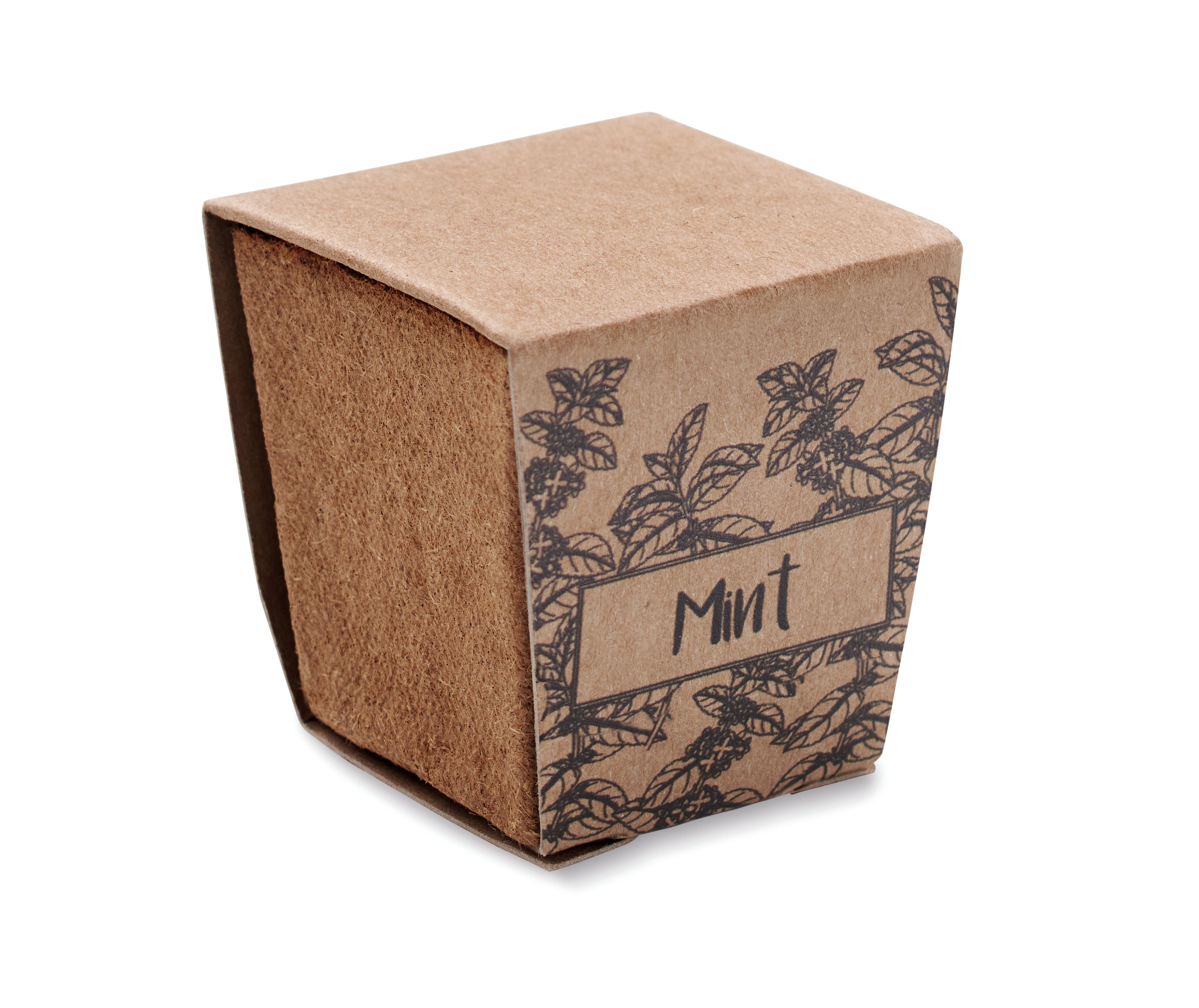 Mint Kit Biodegradable Growing Pot with Seeds