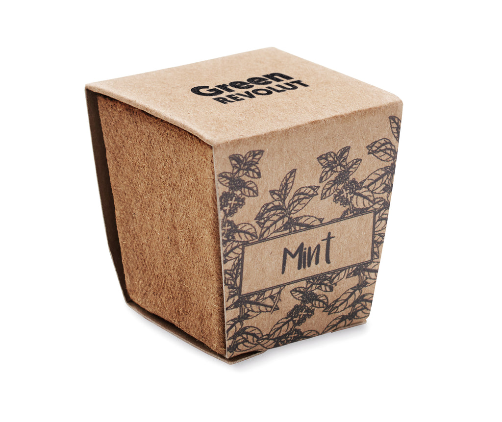 Mint Kit Biodegradable Growing Pot with Seeds