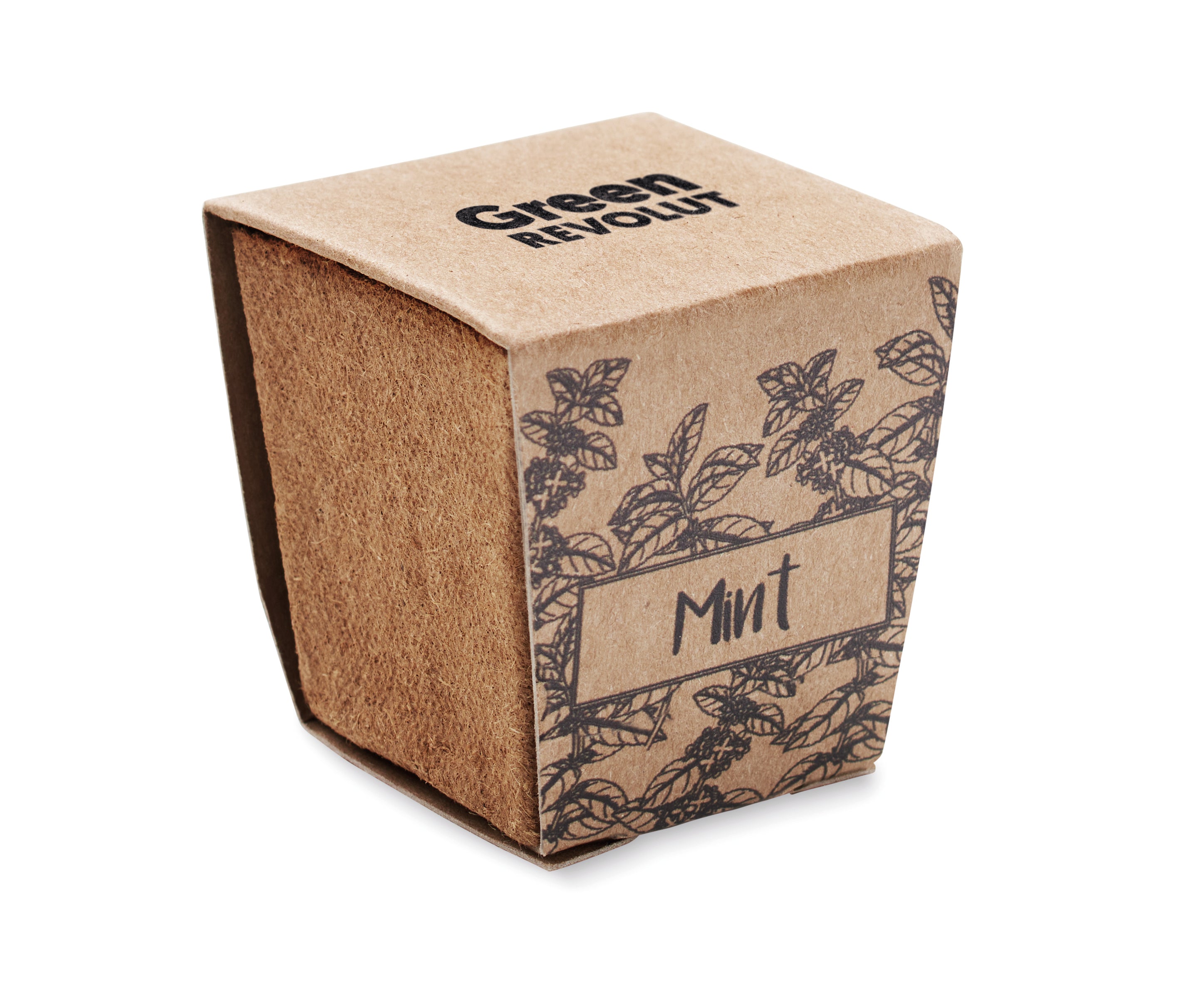 Mint Kit Biodegradable Growing Pot with Seeds