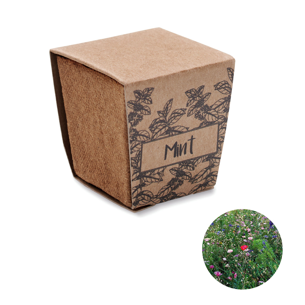 Mint Kit Biodegradable Growing Pot with Seeds
