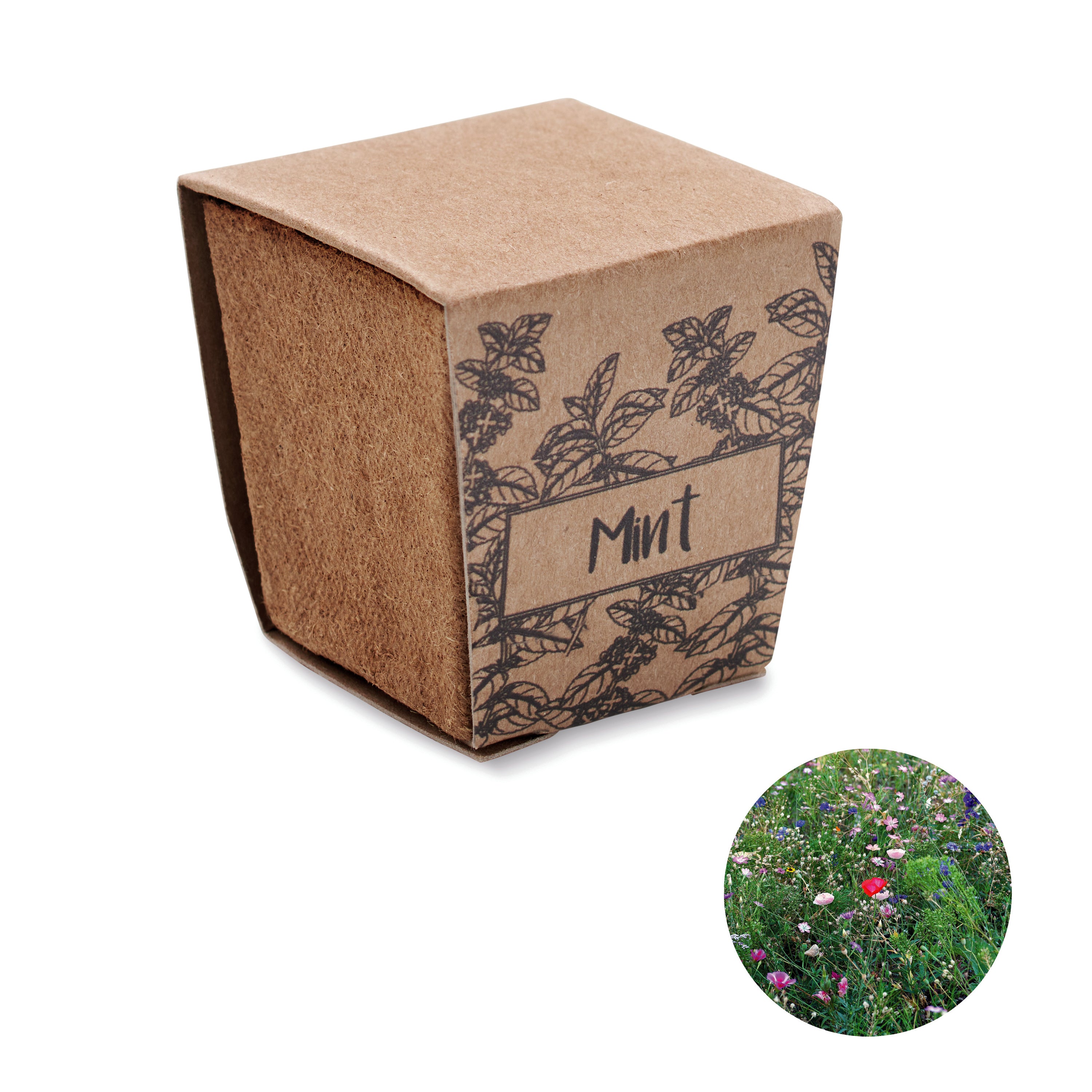 Mint Kit Biodegradable Growing Pot with Seeds