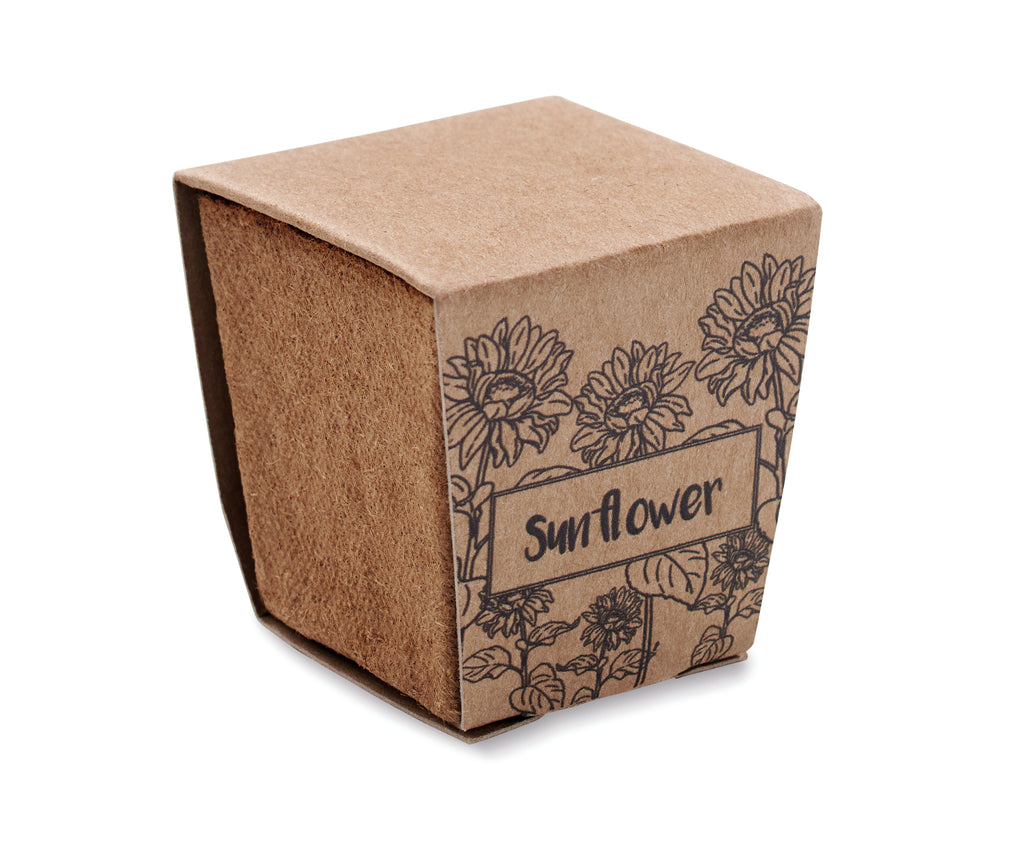 SUNFLOWER KIT