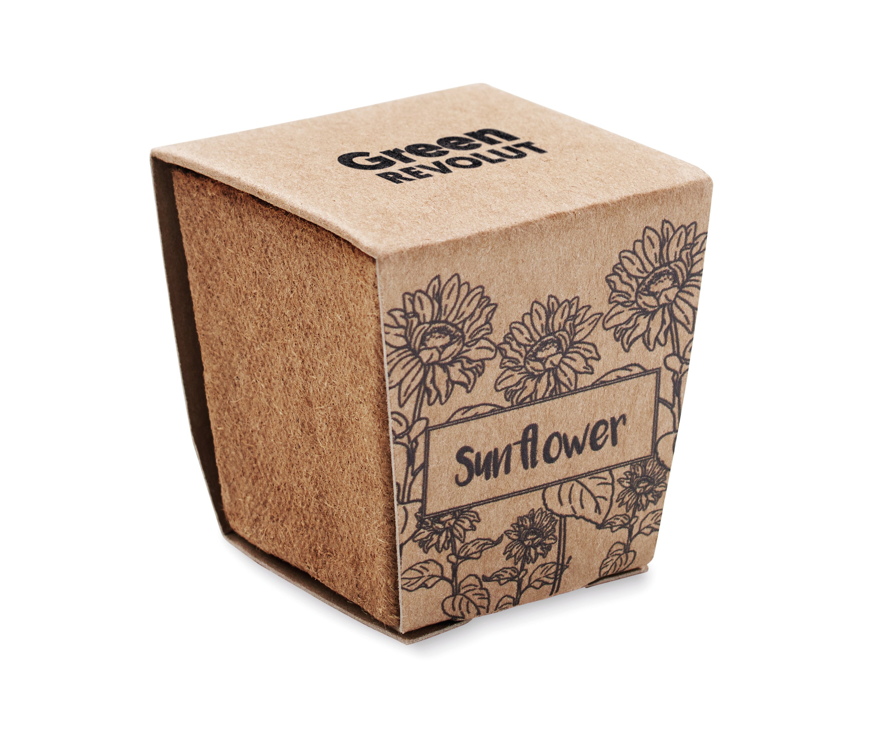 SUNFLOWER KIT