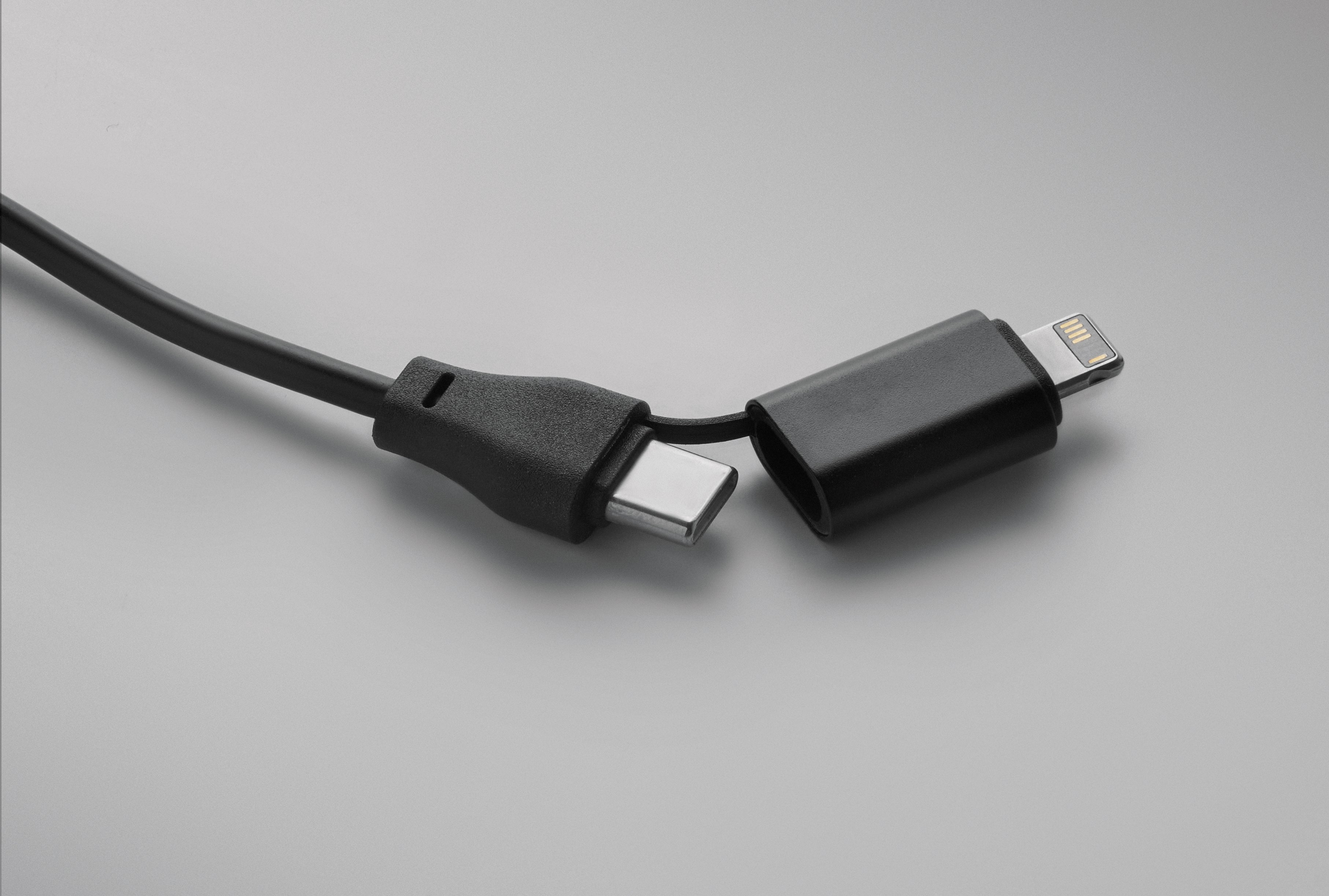 BULE Bamboo 4-in-1 Charging Cable Keyring