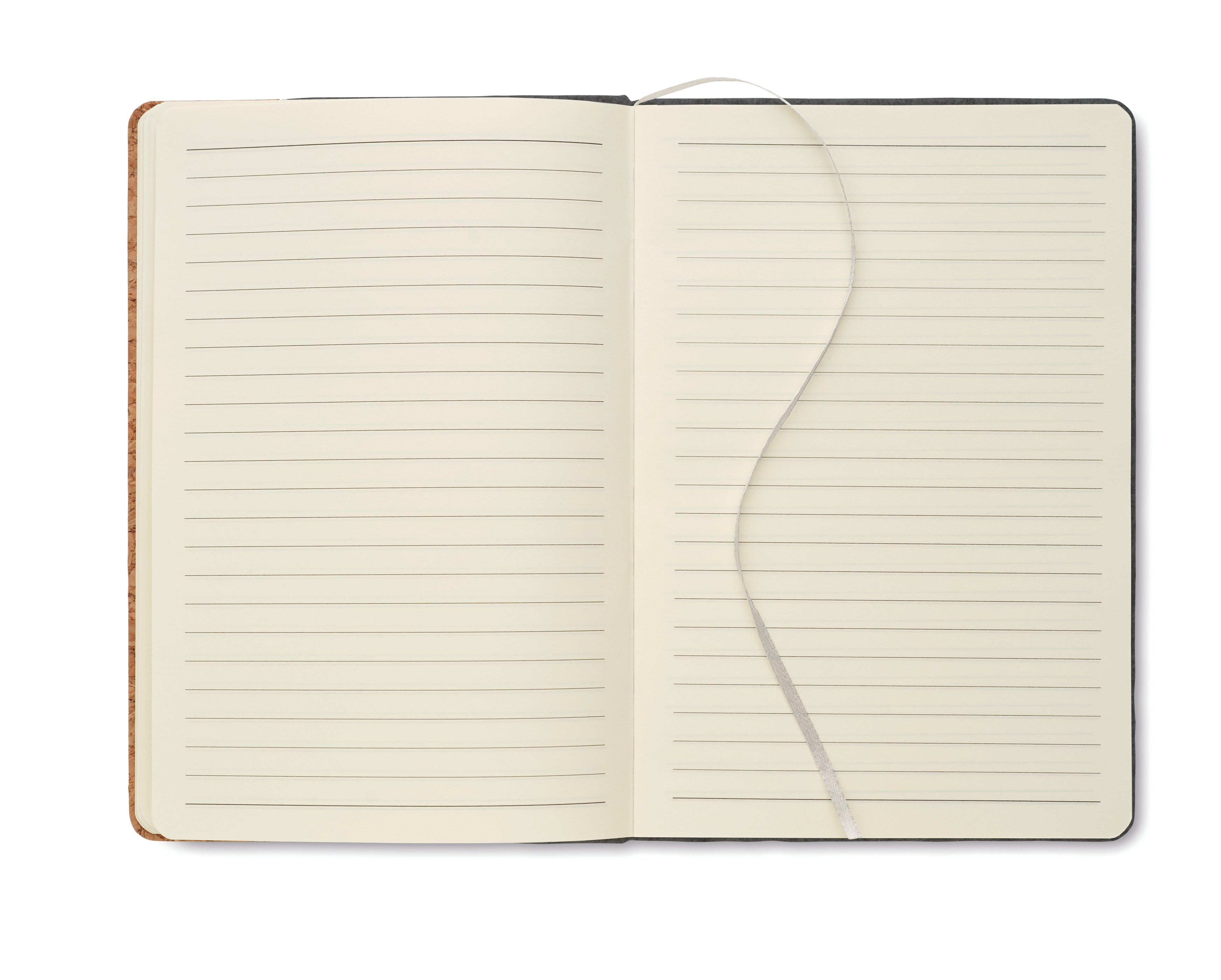 CORKBOOK A5 Recycled RPET Cork Notebook
