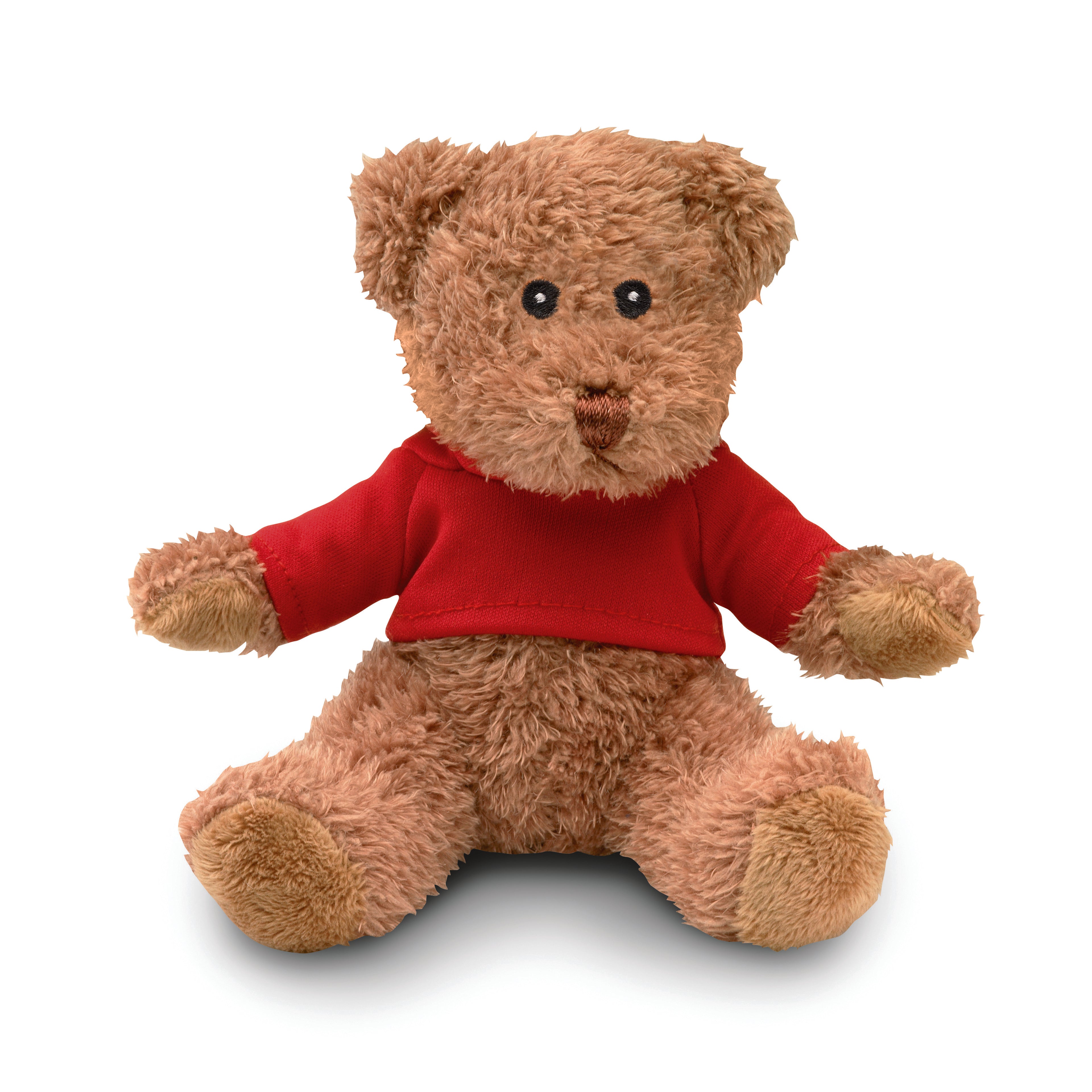 Johnny T Teddy Bear with Printable T-Shirt