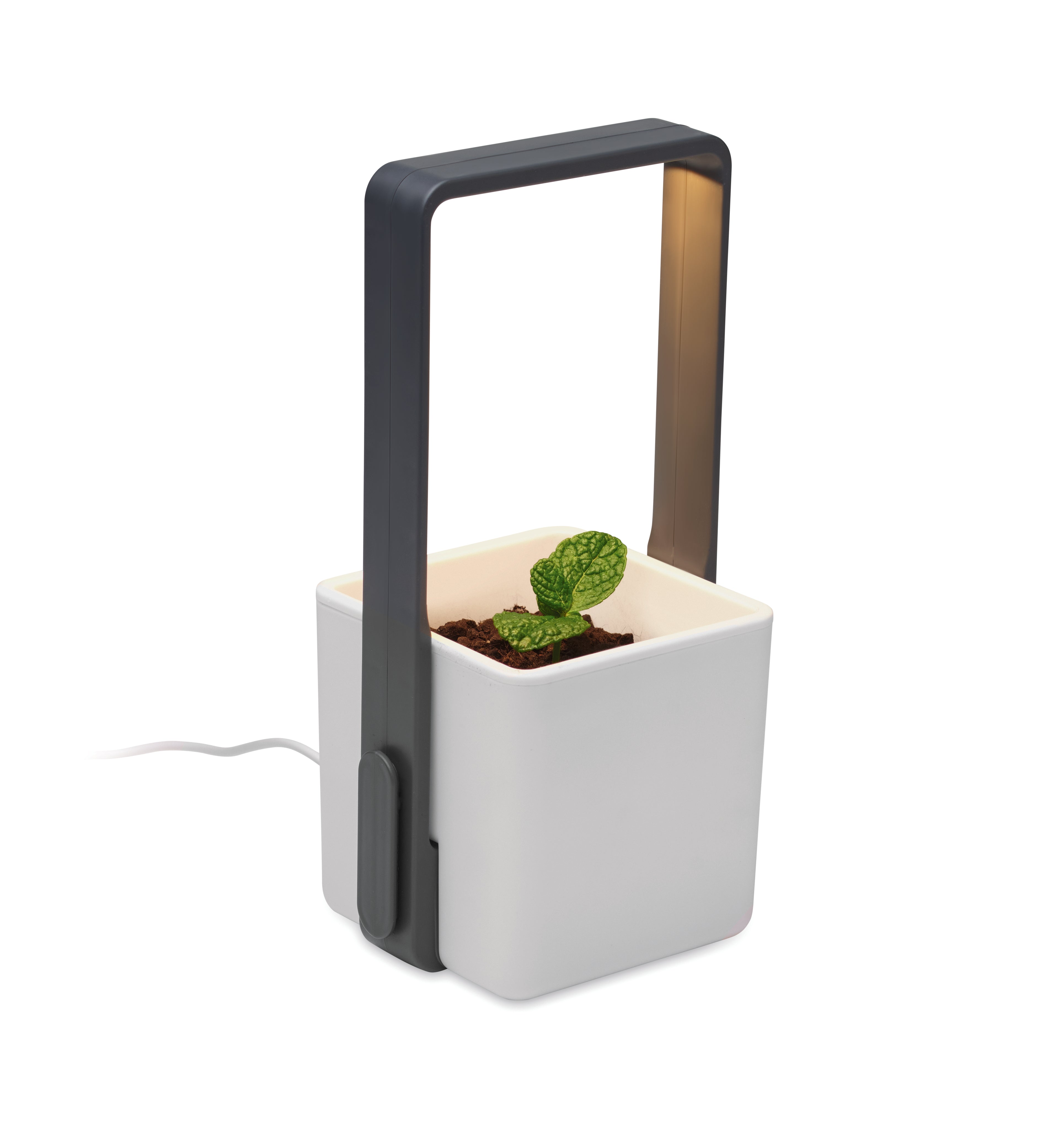 Lushlet Indoor Garden with LED Grow Light