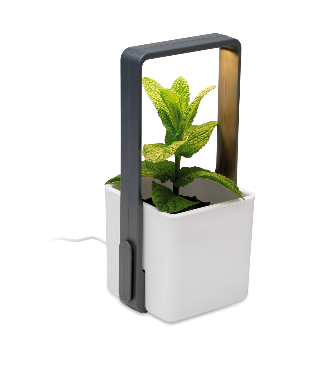 Lushlet Indoor Garden with LED Grow Light