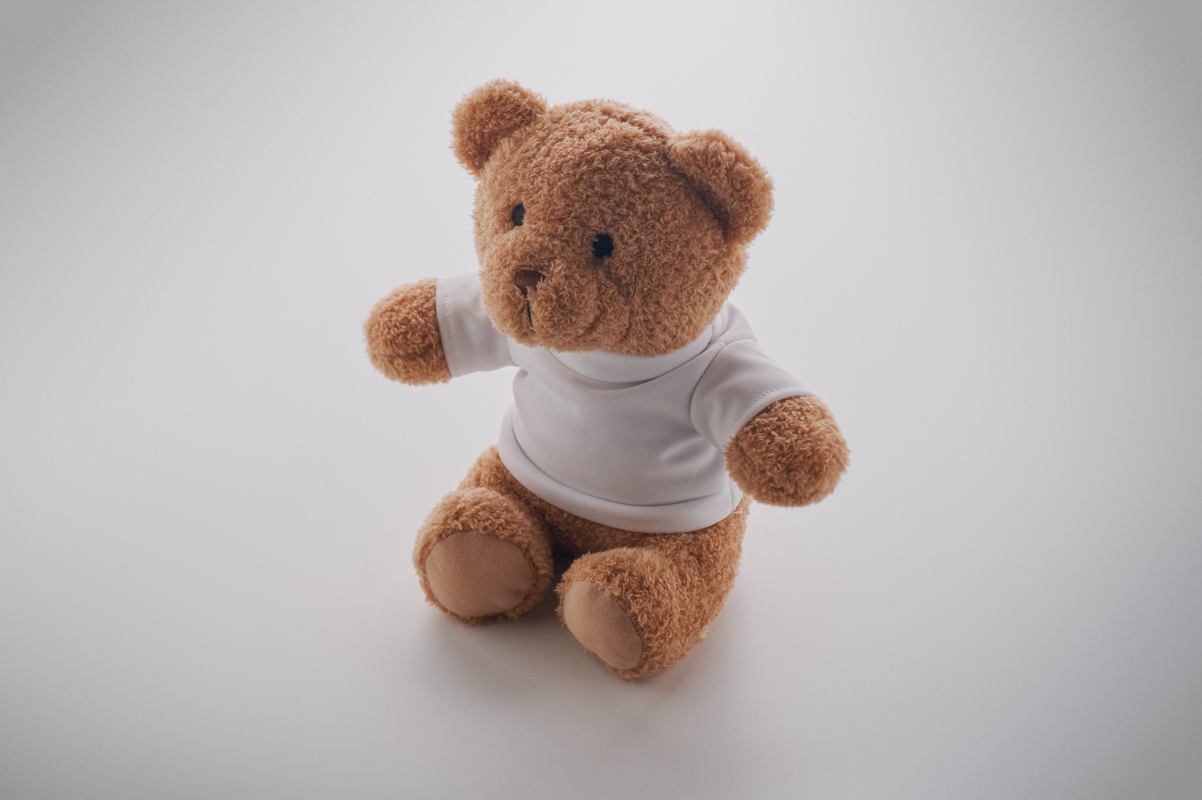 Jackie 23cm Teddy Bear with Printed T-Shirt