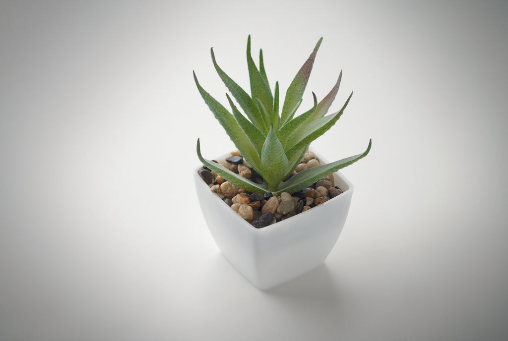 ARTILOE Mini Artificial Aloe Plant