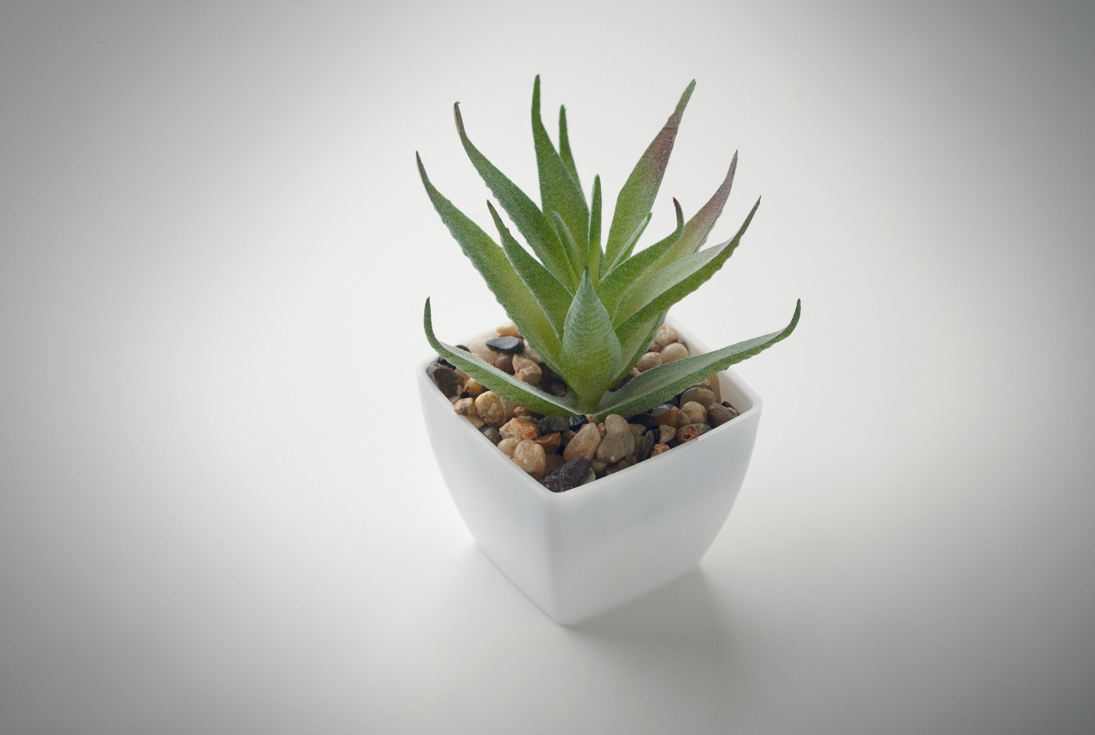 ARTILOE Mini Artificial Aloe Plant