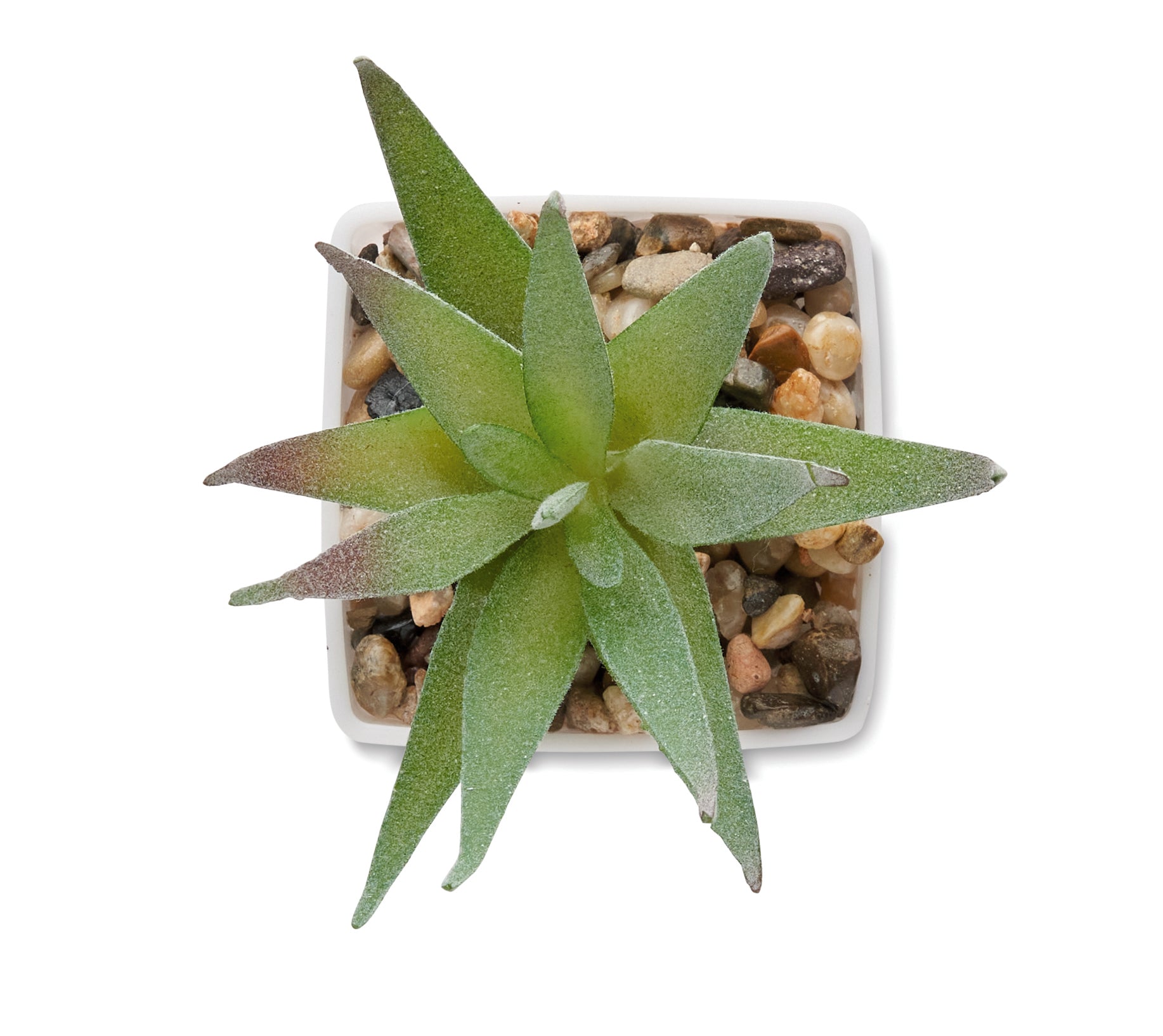 ARTILOE Mini Artificial Aloe Plant