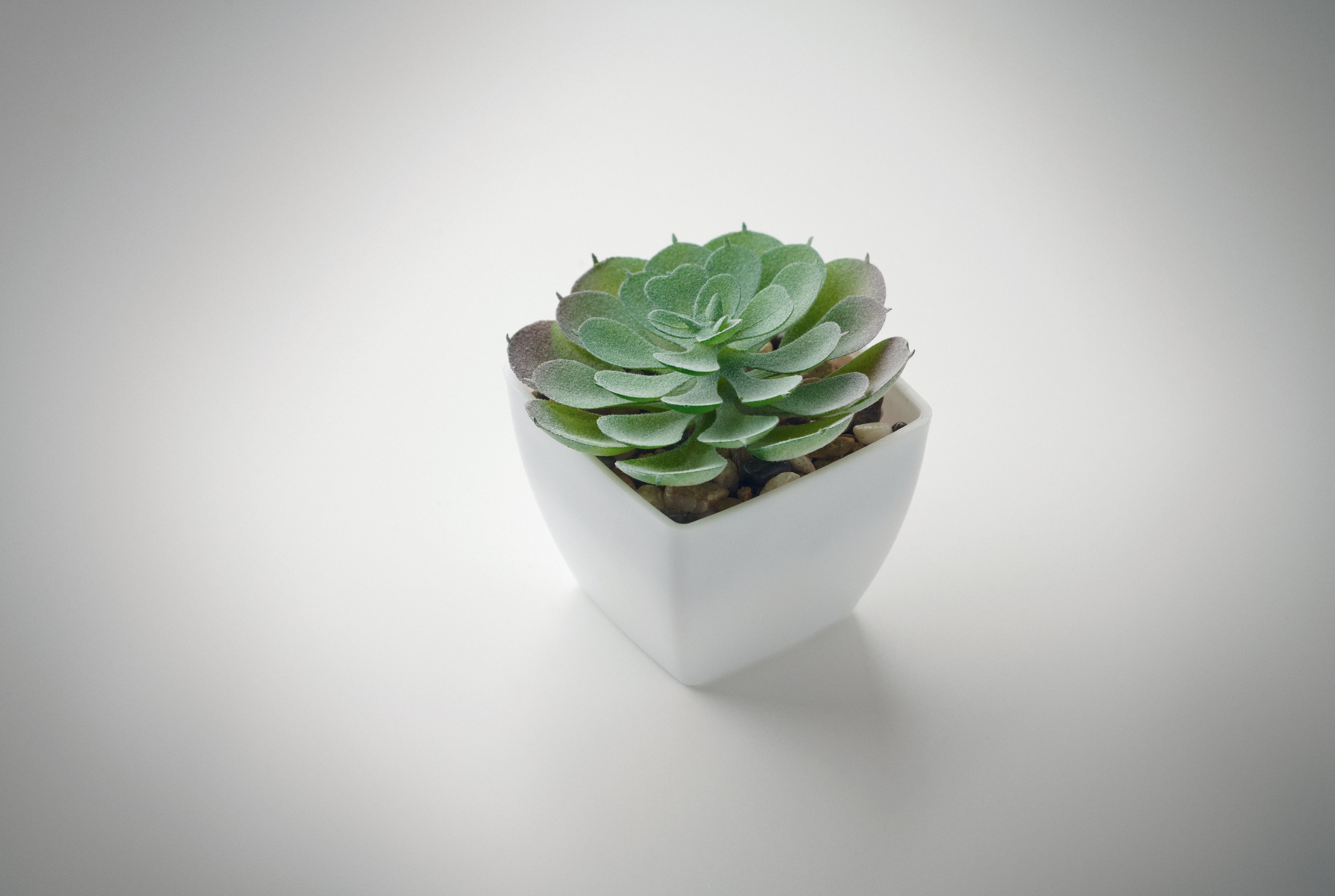 ARTIECHE Mini Artificial Plant Echeveria