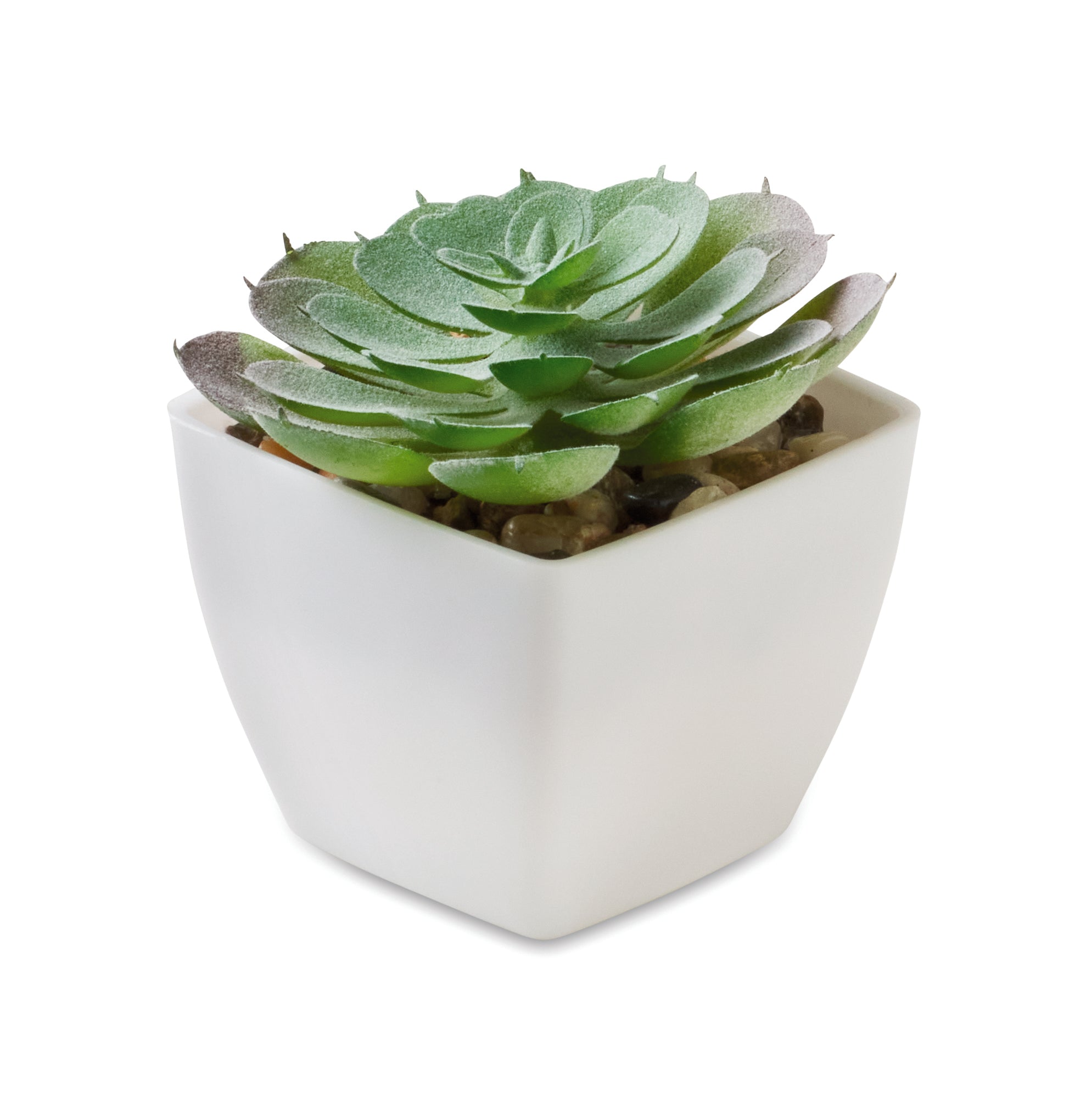 ARTIECHE Mini Artificial Plant Echeveria