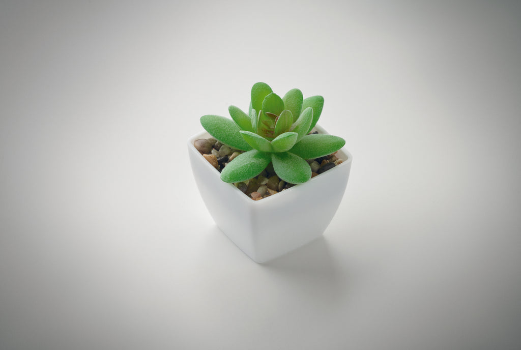 ARTIGRAP Mini Artificial Plant Desk Accessory