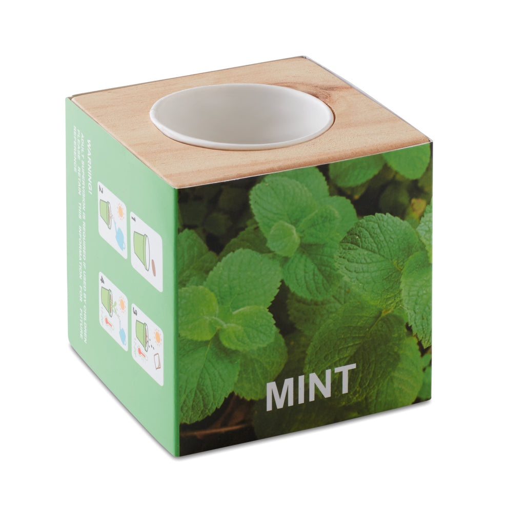 MENTA