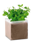 MINT