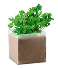PARSELY