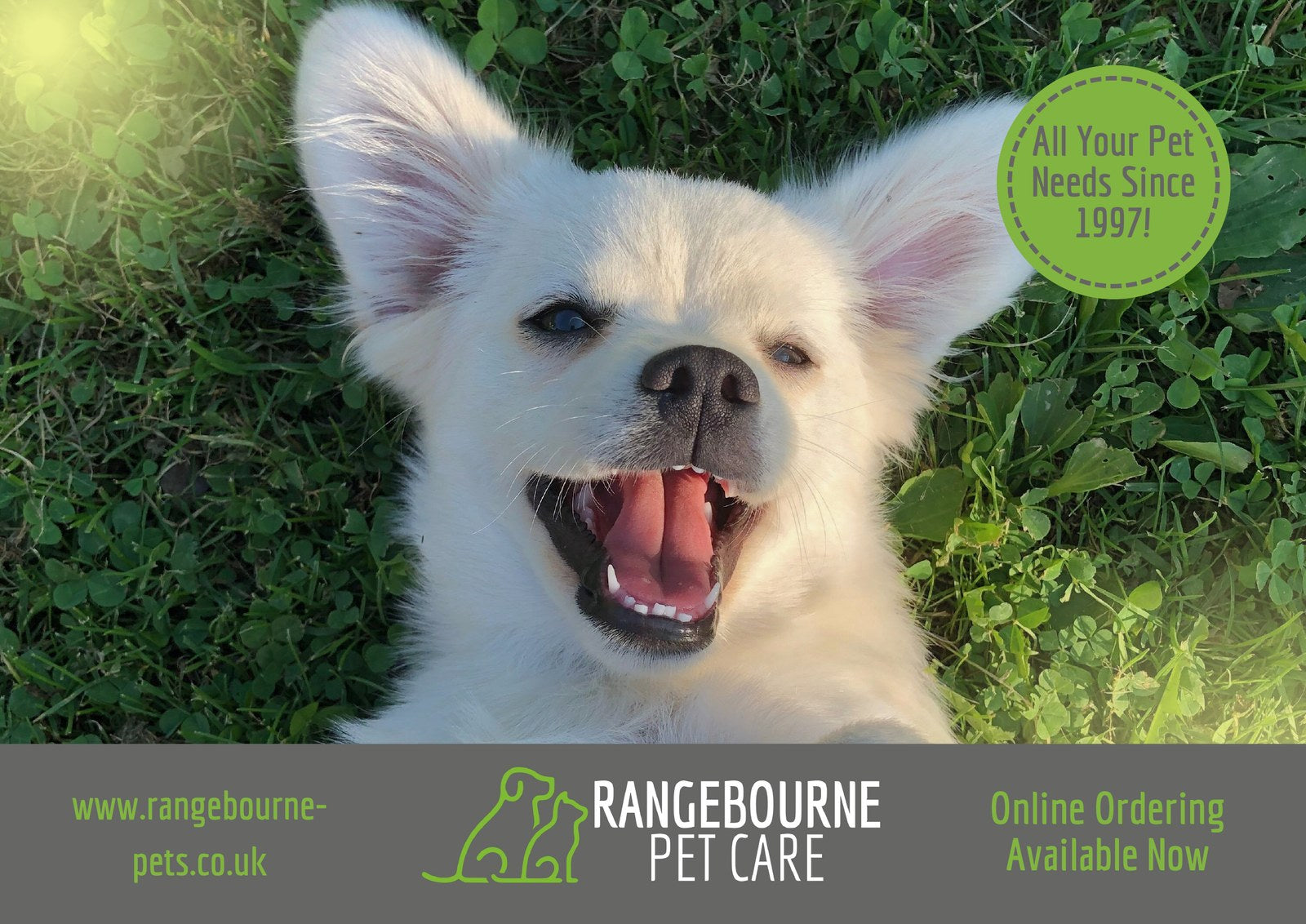 The front of the Rangebourne flyer design